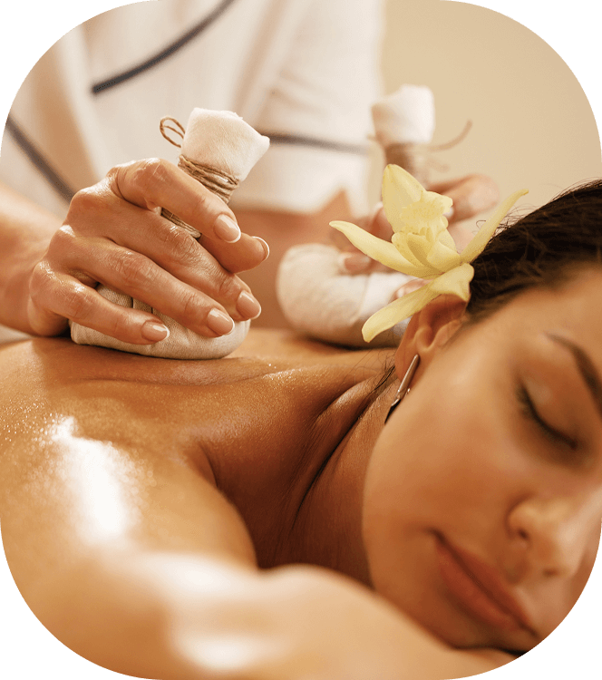 management software fur spas