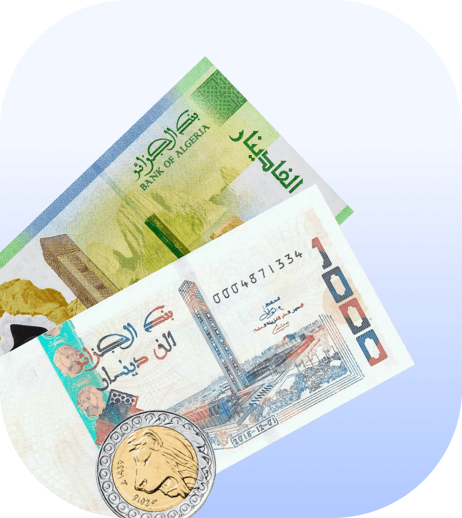 algeria salon software
