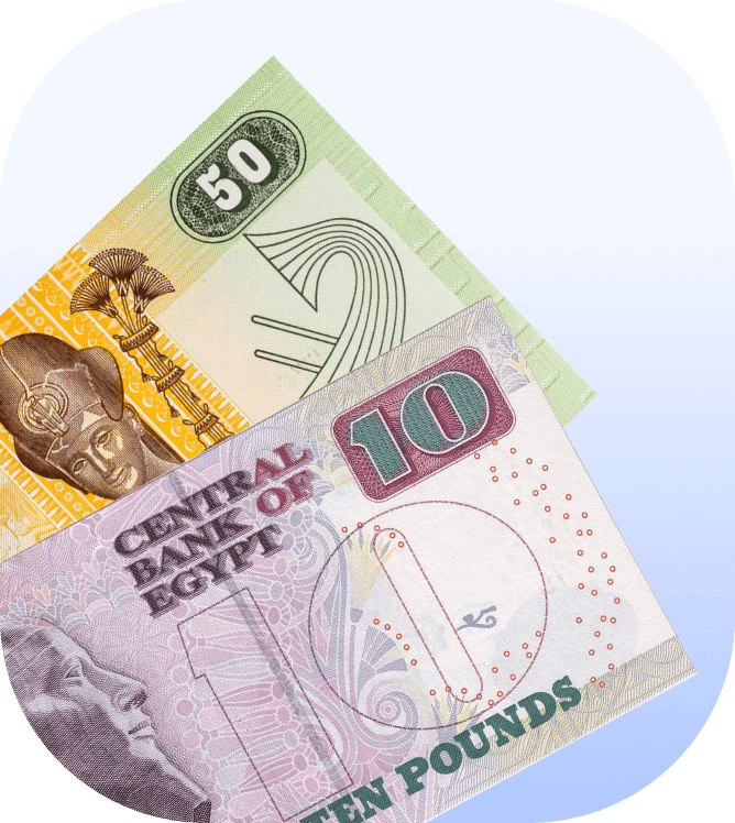 egypt salon software