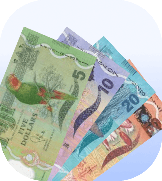 fiji salon software