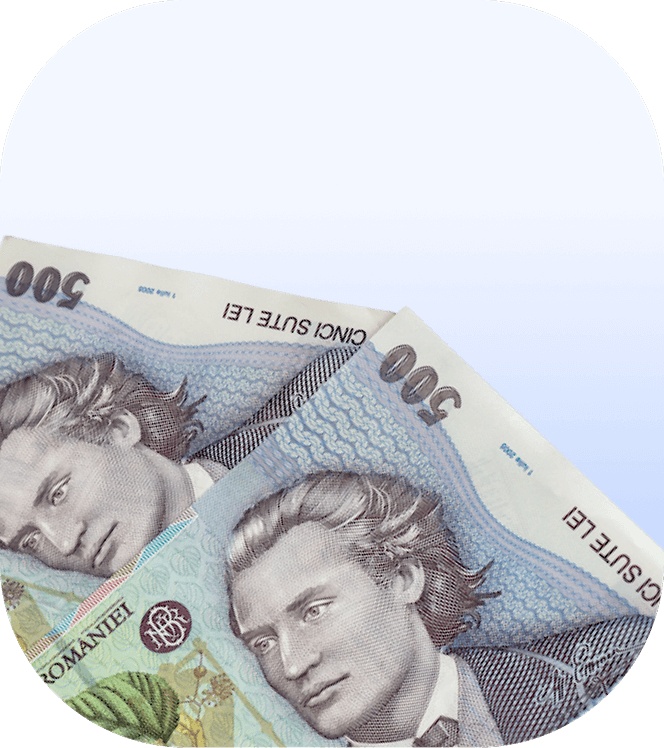 romania salon software