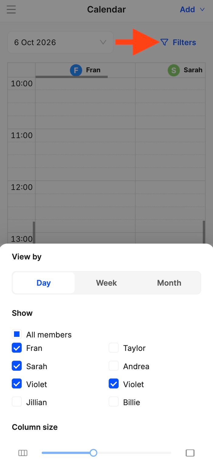 calendar viewing options for team