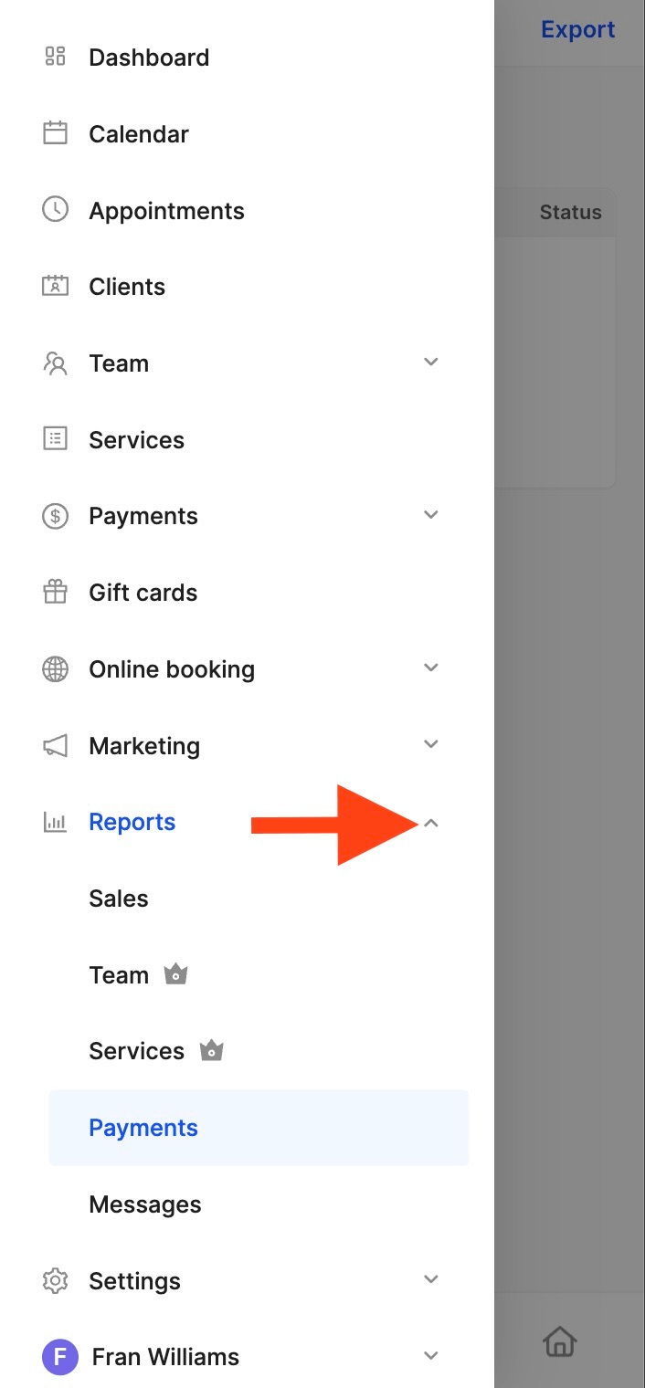 how to access payment reports