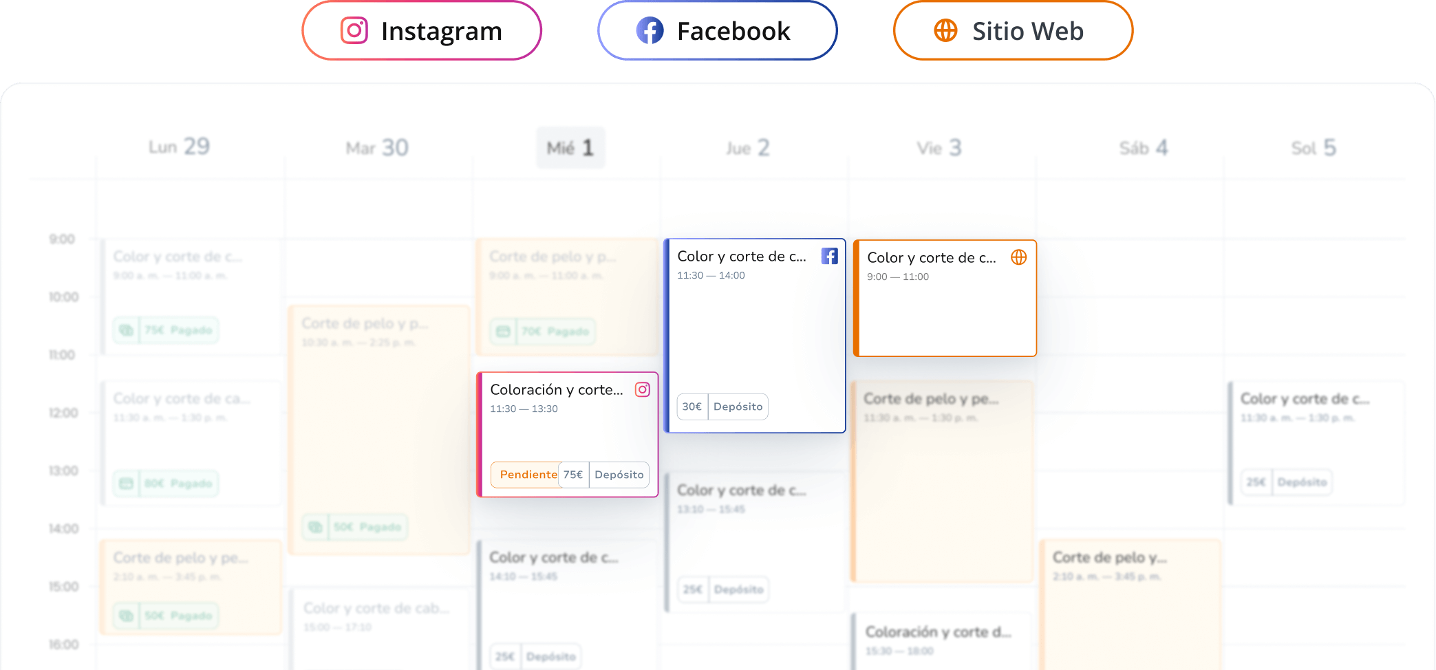 gestión de citas de salón - gestionar citas desde web, instagram, llamadas telefónicas