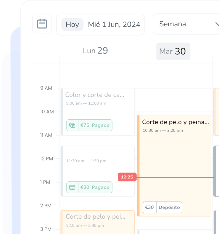 software para salón gratis